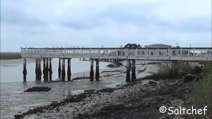 View of the Marshes of Glynn fishing pier Brunswick, Ga marshes of glynn fishing pier brunswick ga